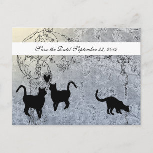 Postal De Anuncios Gato de color azul pálido