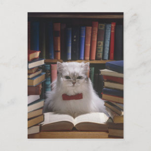 Postal De Anuncios Gato de graduación inteligente