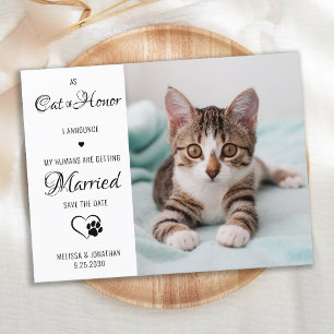 Postal De Anuncios Gato de Honor Boda de Mascotas Foto Guardar la Fec