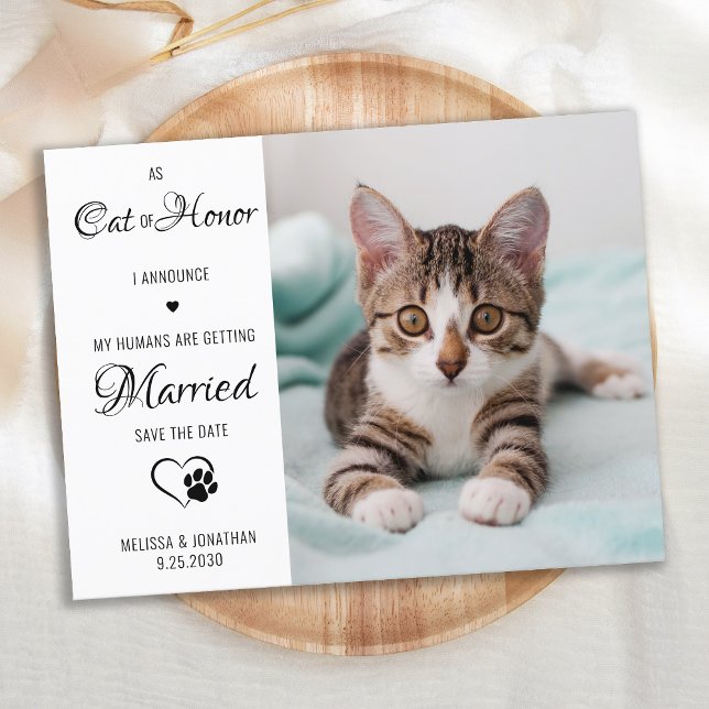 Postal De Anuncios Gato de Honor Boda de Mascotas Foto Guardar la Fec (Subido por el creador)