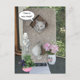 Postal De Anuncios Gato Divertido/ Me He Mudado/Nueva Dirección
