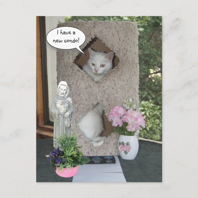Postal De Anuncios Gato Divertido/ Me He Mudado/Nueva Dirección (Anverso)