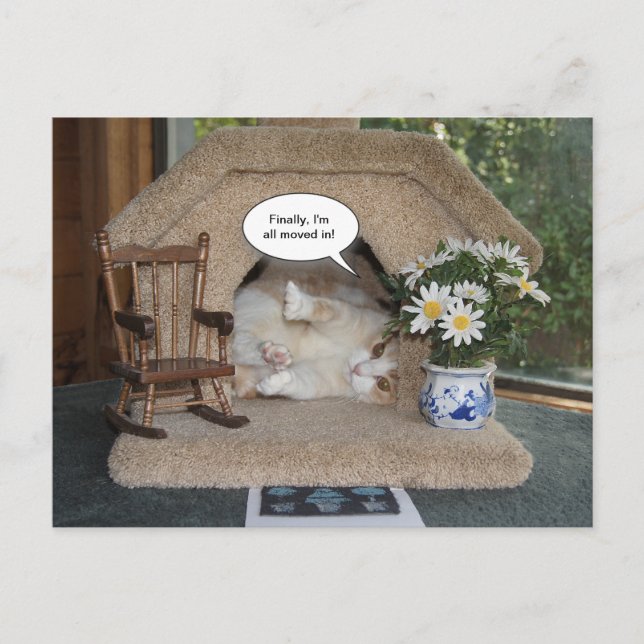 Postal De Anuncios Gato Divertido Nueva Dirección Mudado (Anverso)