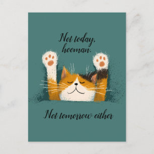 Postal De Anuncios Gato divertido y lindo durmiendo