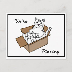 Postal De Anuncios Gato en una caja "Nos estamos mudando" Nueva direc