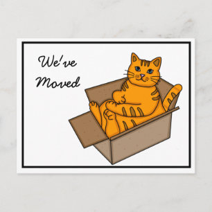 Postal De Anuncios Gato en una caja "Nos estamos mudando" Nueva direc