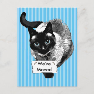 Postal De Anuncios Gato siamés de ojos azules sosteniendo "Nos mudamo