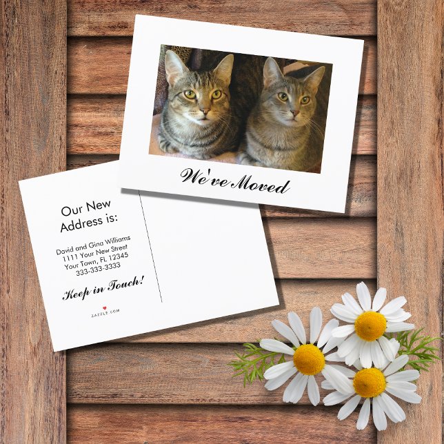 Postal De Anuncios Gatos de Nuevo Hogar Mudanza (Subido por el creador)