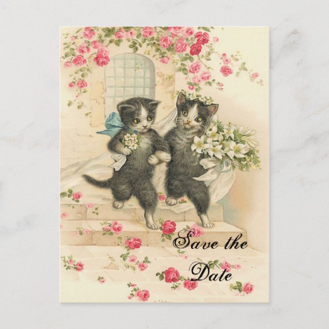Postal De Anuncios Gatos victorianos de boda Save the Date (Anverso)