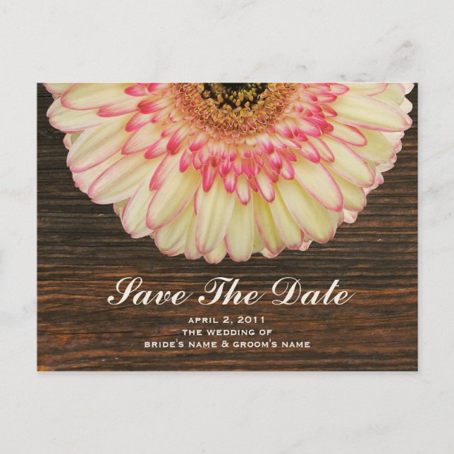 Postal De Anuncios Gerbera Daisy & Barnwood Salven La Postcarta De Fe (Anverso)
