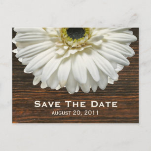 Postal De Anuncios Gerbera y Barnwood Blancos Salven La Postcarta De