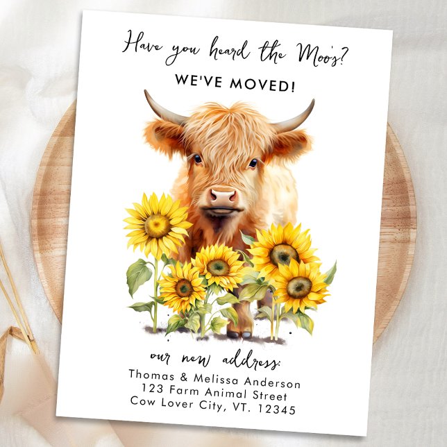 Postal De Anuncios Girasoles Vaca de las Tierras Altas Lindos Nueva D (Subido por el creador)