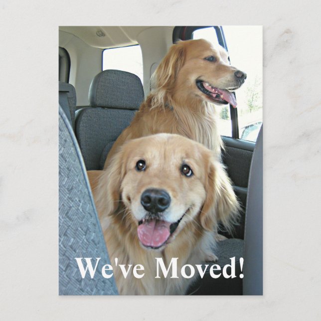 Postal De Anuncios Golden Retriever Nos Mudamos Cambio de Dirección (Anverso)