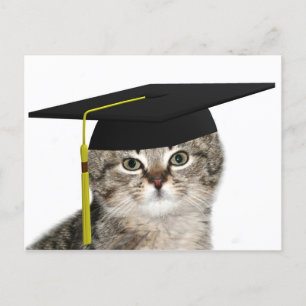 Postal De Anuncios Graduación del gatito