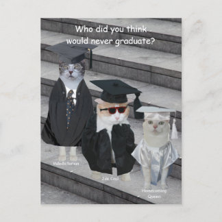 Postal De Anuncios Graduados gatos/gatitos graciosos de personalizabl