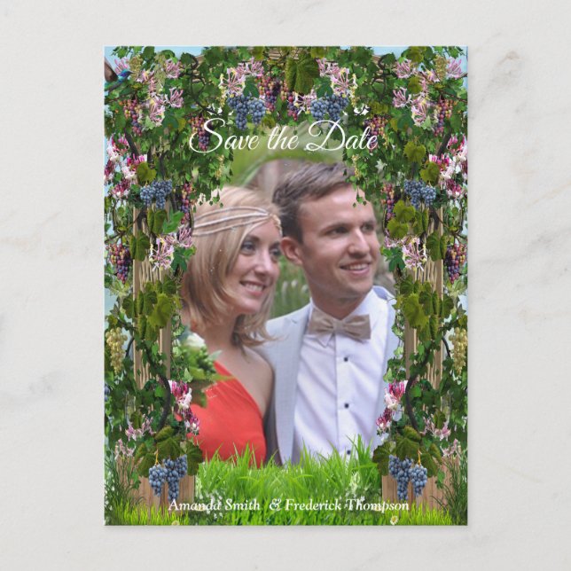 Postal De Anuncios Grapevines, boquerones y colibríes (Anverso)