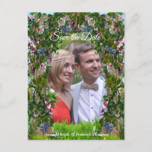 Postal De Anuncios Grapevines, boquerones y colibríes