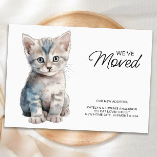 Postal De Anuncios Gray Kitten Cat mudándose a casa nueva