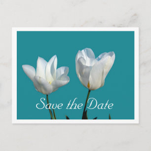 Postal De Anuncios guarda la fecha, dos flores de tulipán blancas