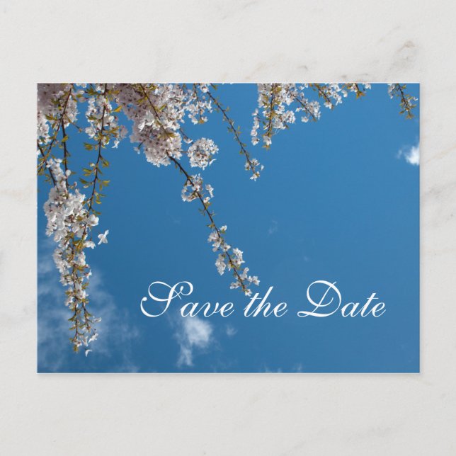 Postal De Anuncios Guarda la fecha, ramas de flor de cerezo en cielo  (Anverso)