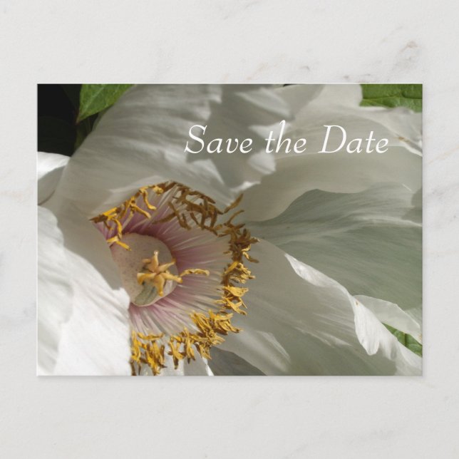 Postal De Anuncios Guardar la fecha (Anverso)