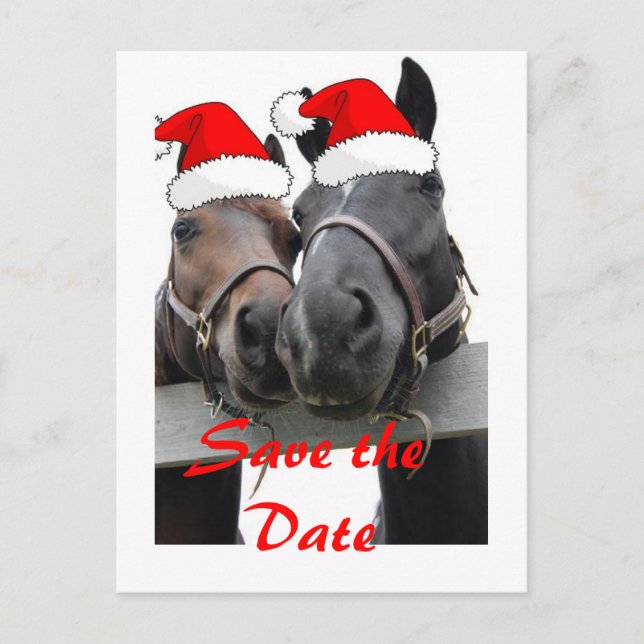 Postal De Anuncios Guardar la Fecha/Caballos de Navidad (Anverso)