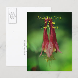 Postal De Anuncios Guardar la fecha Flor de Columbina Silvestre