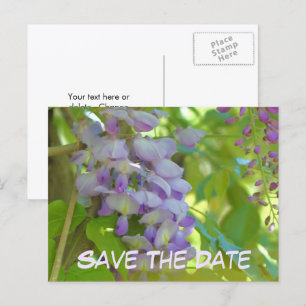 Postal De Anuncios Guardar la fecha Flor de glicina 