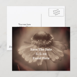 Postal De Anuncios Guardar la fecha Flor de Zinnia Vintage Sepia