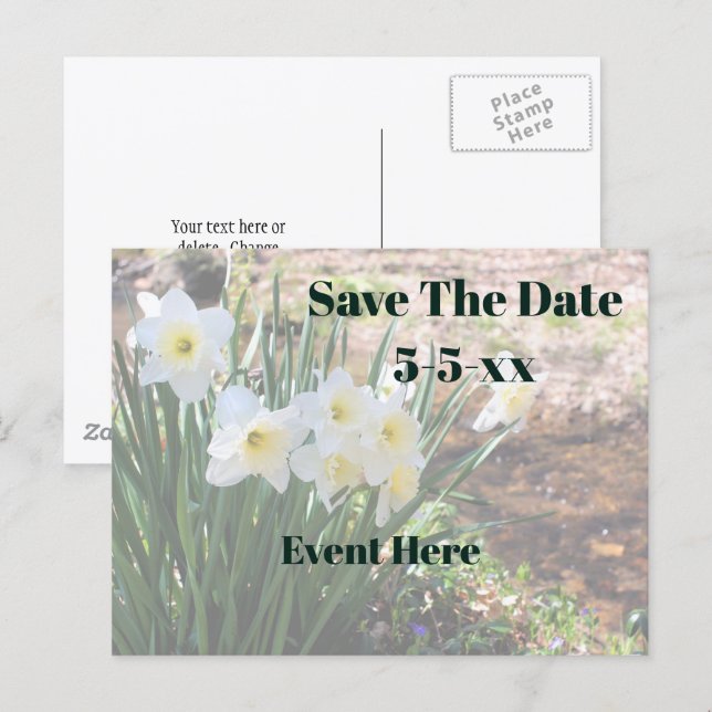 Postal De Anuncios Guardar la fecha Flores de Narciso Blancas (Anverso / Reverso)