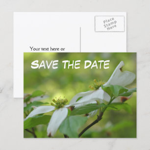 Postal De Anuncios Guardar la fecha Foto de flor de cornejo