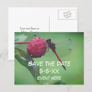 Postal De Anuncios Guardar la fecha libélula roja naturaleza