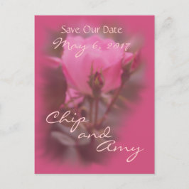 Postal De Anuncios Guardar la fecha Rosa de Knockout de Pk-cualquier