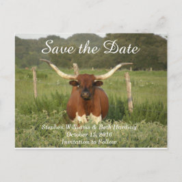Postal De Anuncios Guardar la fecha Texas Longhorn