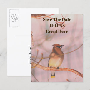 Postal De Anuncios Guardar la fecha Waxwing Naturaleza Personalizada