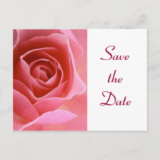 Postal De Anuncios Guardar la rosa rosa rosa de fecha
