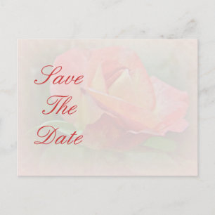 Postal De Anuncios Guarde la Fecha - Flor de Rosa Melocotón