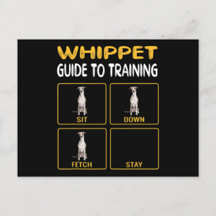 Postal De Anuncios guía whippet para el entrenamiento de la obedienci
