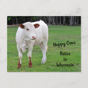Postal De Anuncios Happy Cows Nueva dirección / Cambio de dirección