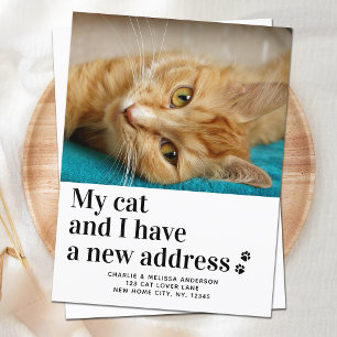 Postal De Anuncios Hemos Mudado nueva dirección Mascota de foto gatos