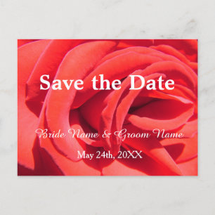 Postal De Anuncios Hermosa rosa roja salven la cita boda invitati