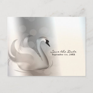 Postal De Anuncios Hermoso Cisne Plateado Elegante Chic Salva la Fech