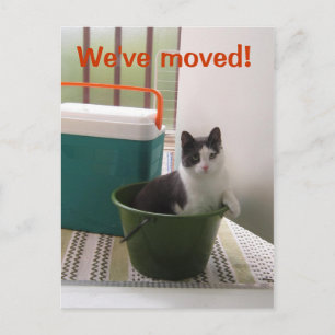 Postal De Anuncios Hogar Nuevo