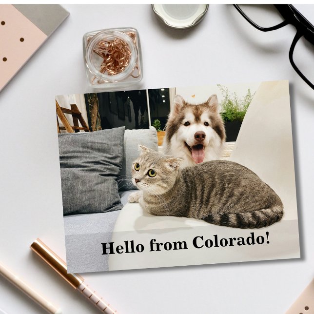 Postal De Anuncios Hola vecino editable, nueva dirección, intro (Subido por el creador)