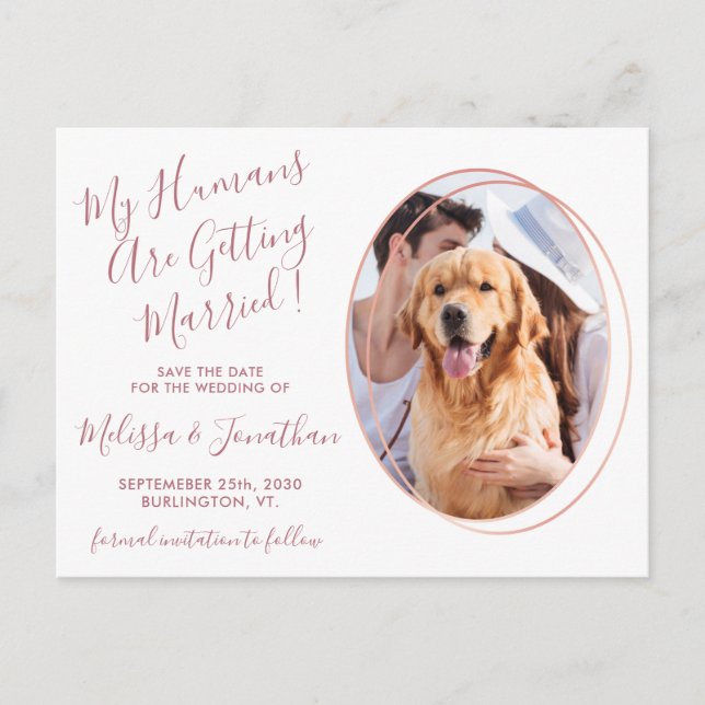 Postal De Anuncios Humanos se casan con un Boda de fotografía Mascota (Anverso)