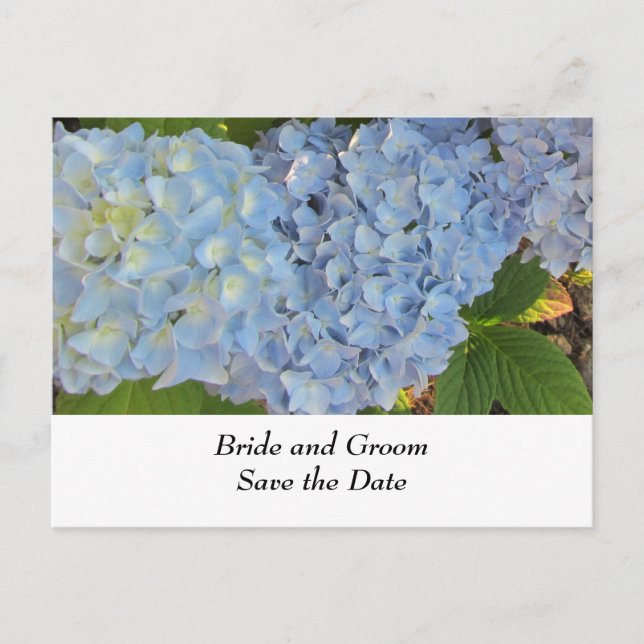 Postal De Anuncios Hydrangeas azules y malvas para bodas (Anverso)