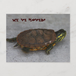 POSTAL DE ANUNCIOS ¡IMG_1195, NOS HEMOS MOVIDO!