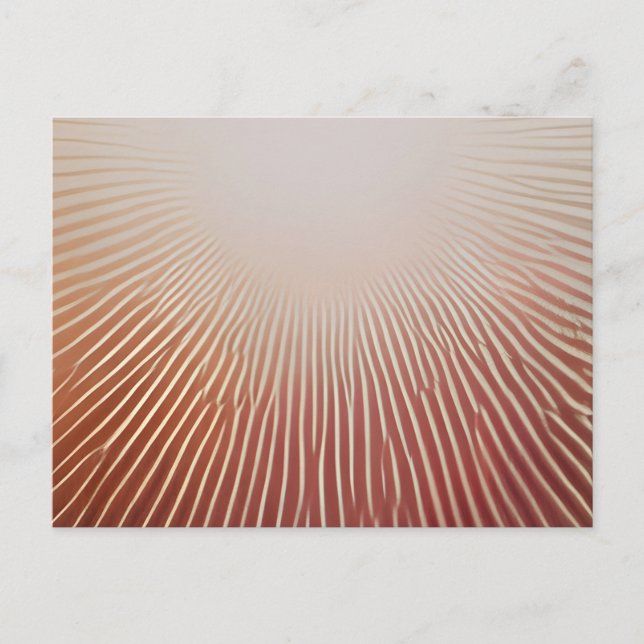 Postal De Anuncios Impresiones de fotos (Anverso)