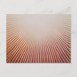 Postal De Anuncios Impresiones Fotograficas