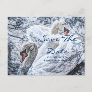 Postal De Anuncios invierno romántico lago cisne blanco boda